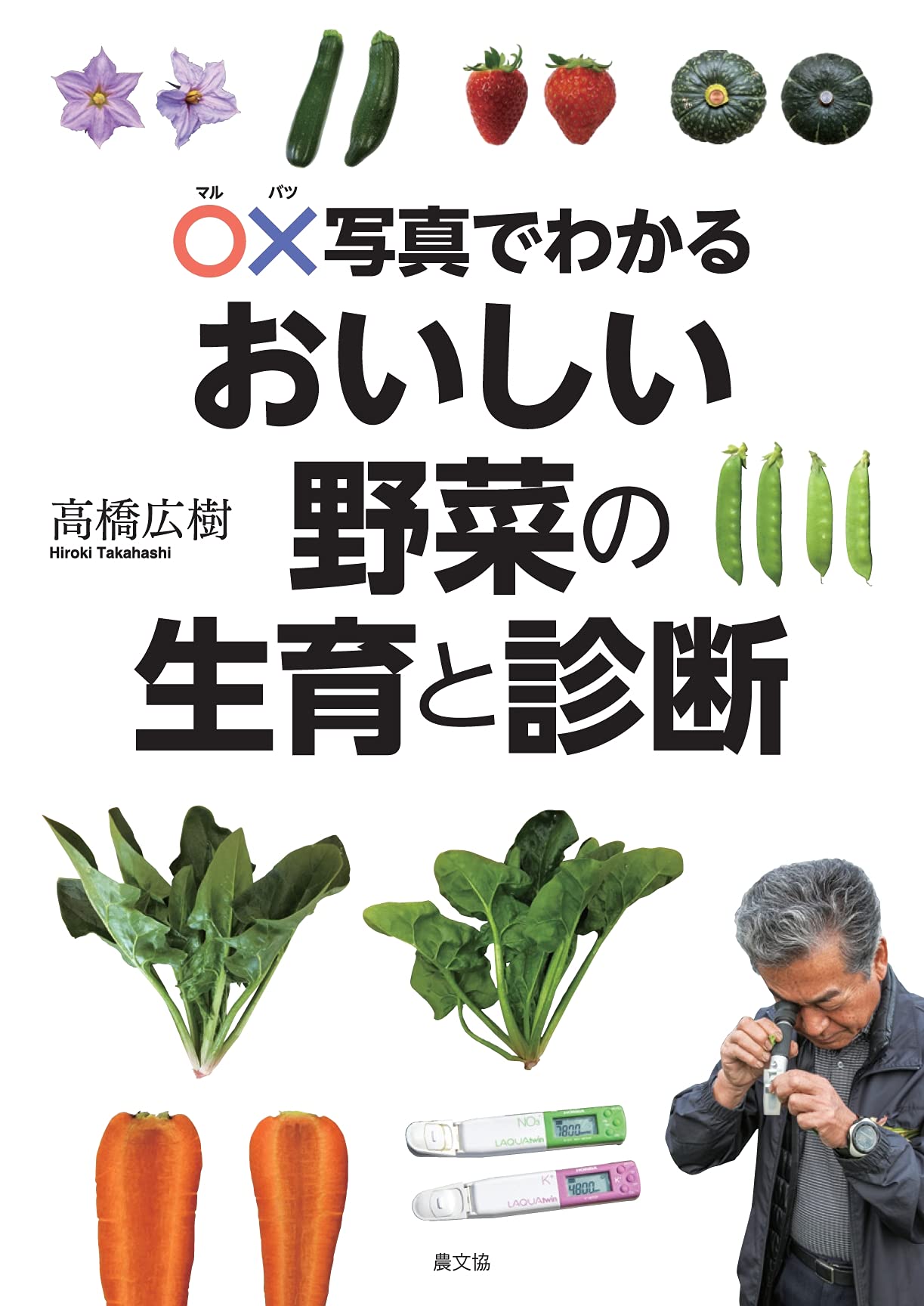 おいしい野菜研究室6キロ おいしい野菜の生育と診断 | 高橋広樹 |本 | 通販 | Amazon